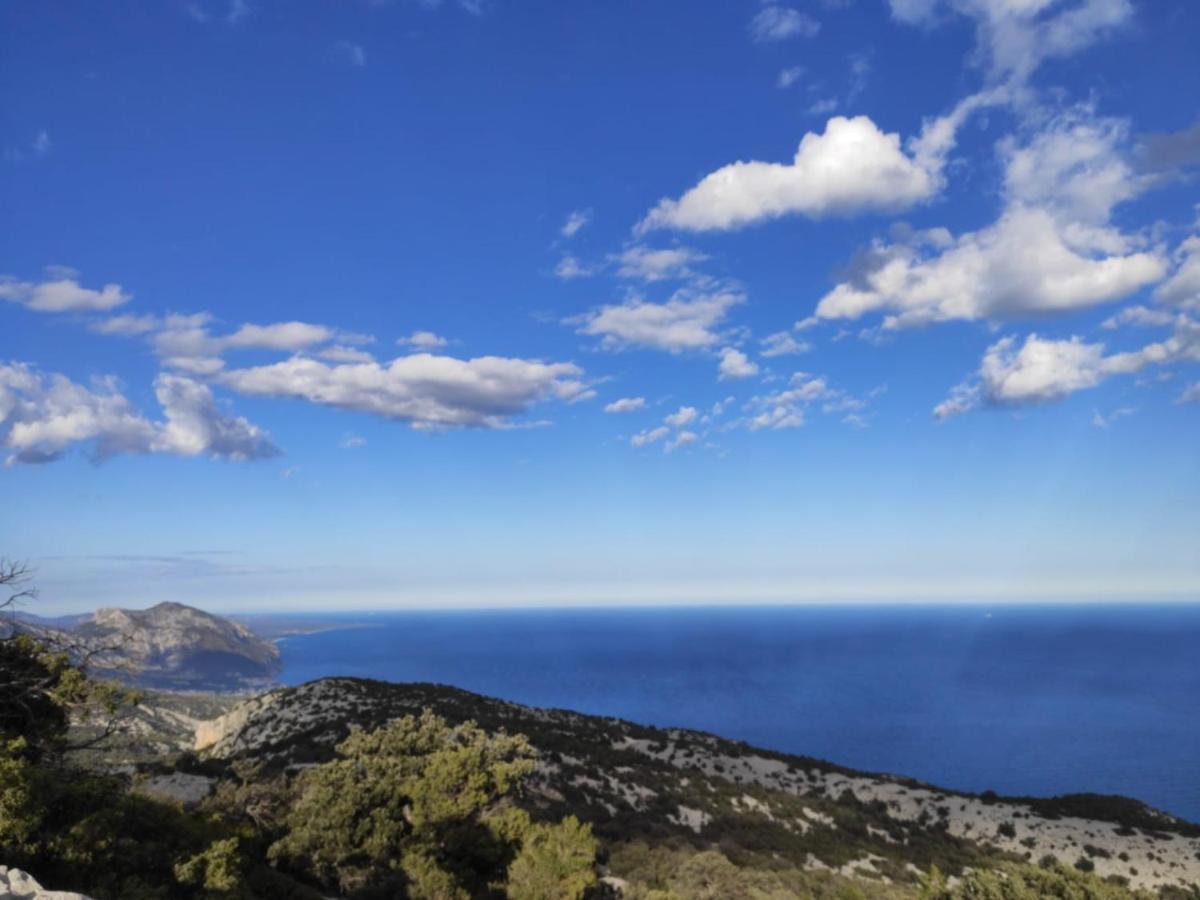 Apartment Conchiglie 2 Cala Gonone Εξωτερικό φωτογραφία